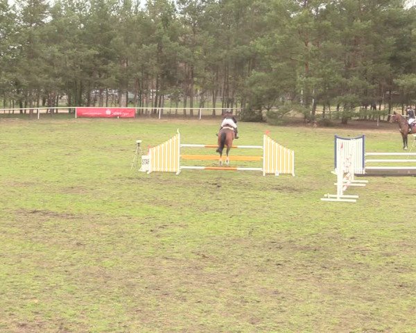Reitturnier Altbarnim 2019