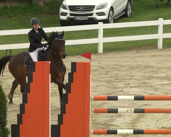 Reitturnier Leutkirch-Diepoldshofen 2019