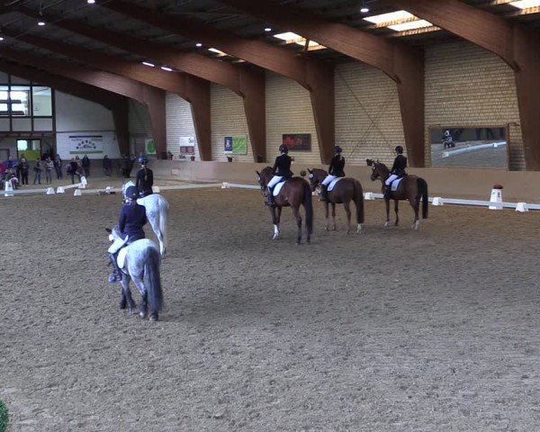 Reitturnier Kamen 2019