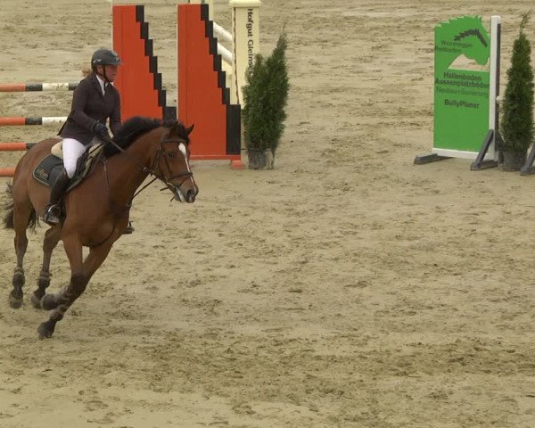 Reitturnier Leutkirch-Diepoldshofen 2019