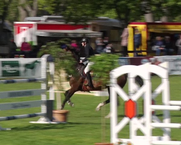 Reitturnier Greppin 2019