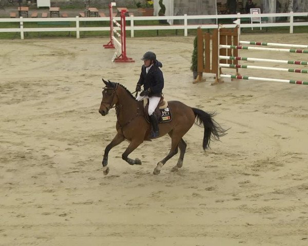 Reitturnier Leutkirch-Diepoldshofen 2019