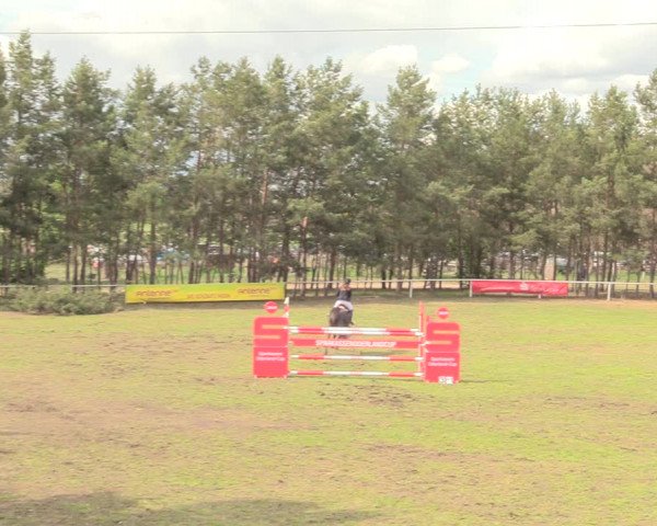Reitturnier Altbarnim 2019