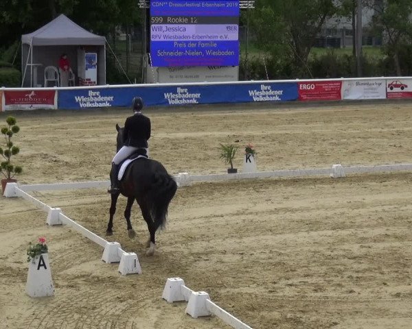 Reitturnier Wiesbaden-Erbenheim 2019