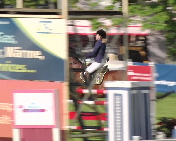 Reitturnier Greppin 2019