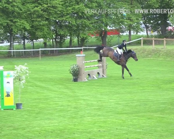 Reitturnier Uster 2019