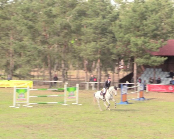 Reitturnier Altbarnim 2019