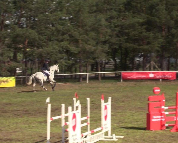 Reitturnier Altbarnim 2019