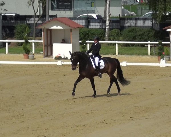Reitturnier Wiesbaden-Erbenheim 2019