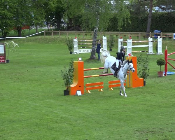 Reitturnier Uster 2019