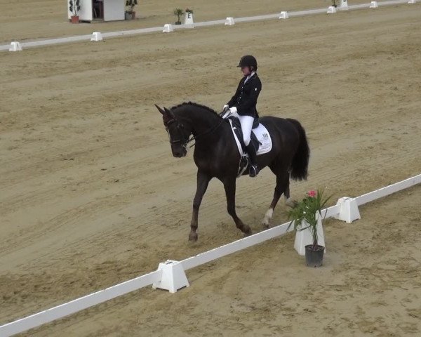 Reitturnier Wiesbaden-Erbenheim 2019