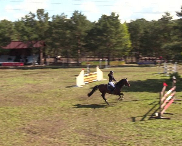 Reitturnier Altbarnim 2019