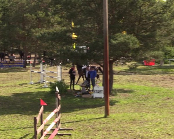 Reitturnier Altbarnim 2019