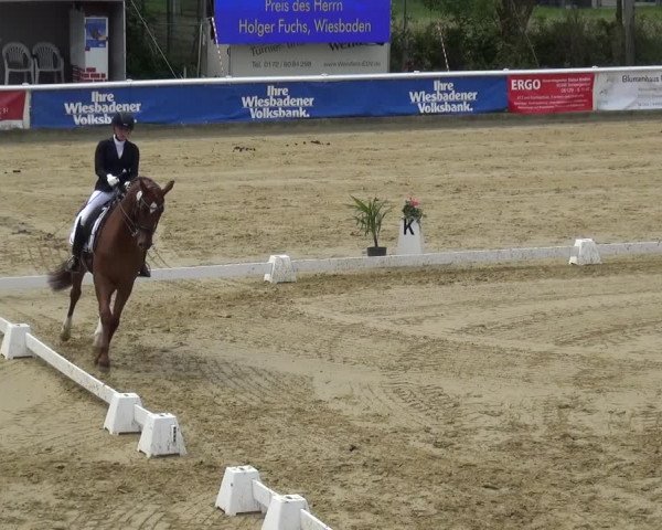 Reitturnier Wiesbaden-Erbenheim 2019