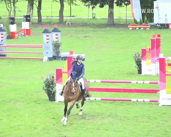 Reitturnier Uster 2019