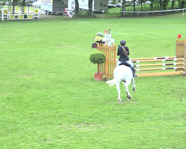 Reitturnier Uster 2019