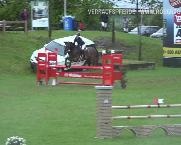 Reitturnier Uster 2019