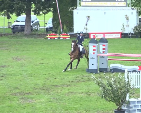 Reitturnier Uster 2019