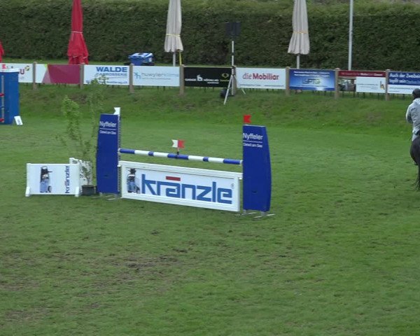 Reitturnier Uster 2019