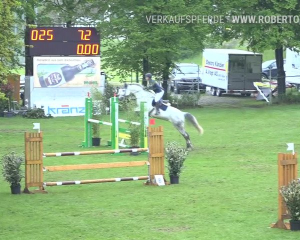Reitturnier Uster 2019