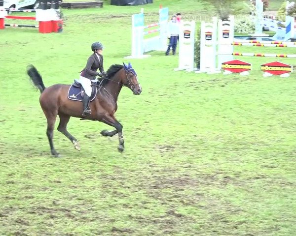 Reitturnier Uster 2019