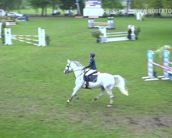 Reitturnier Uster 2019
