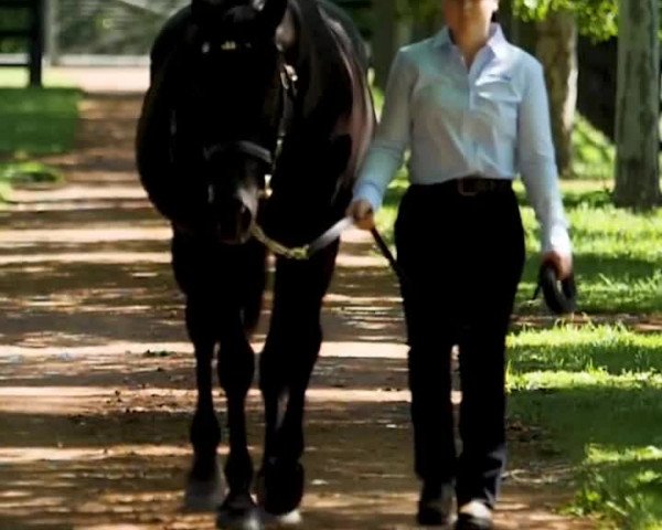 Video of Lonhro xx