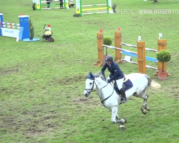 Reitturnier Uster 2019