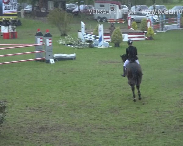 Reitturnier Uster 2019