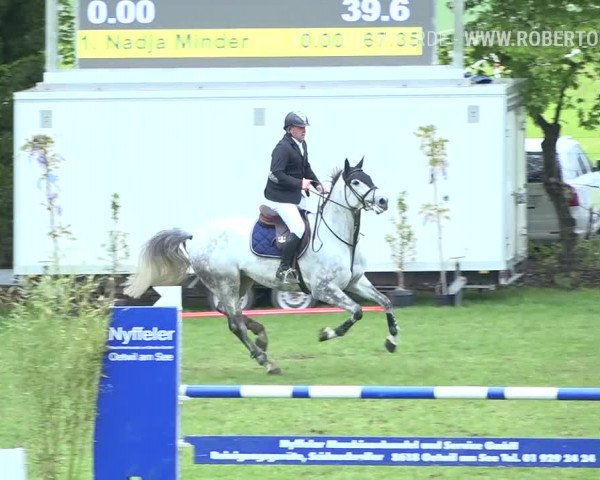 Reitturnier Uster 2019