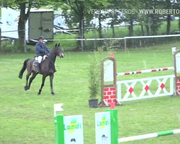 Reitturnier Uster 2019