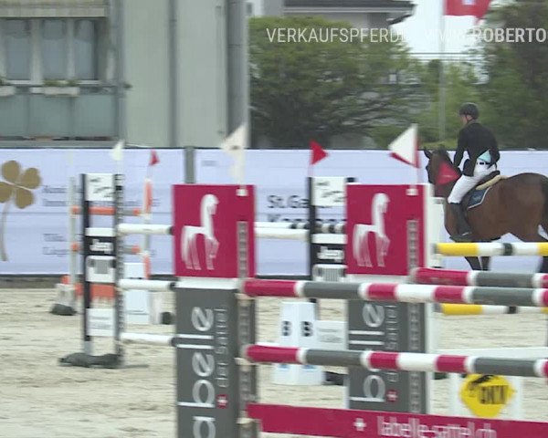 Reitturnier Horn 2019