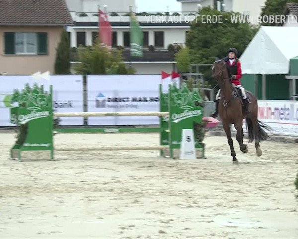 Reitturnier Horn 2019