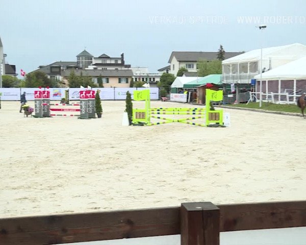 Reitturnier Horn 2019