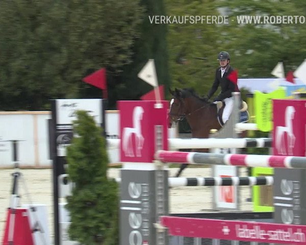 Reitturnier Horn 2019