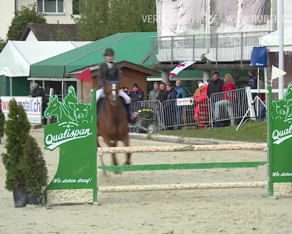 Reitturnier Horn 2019