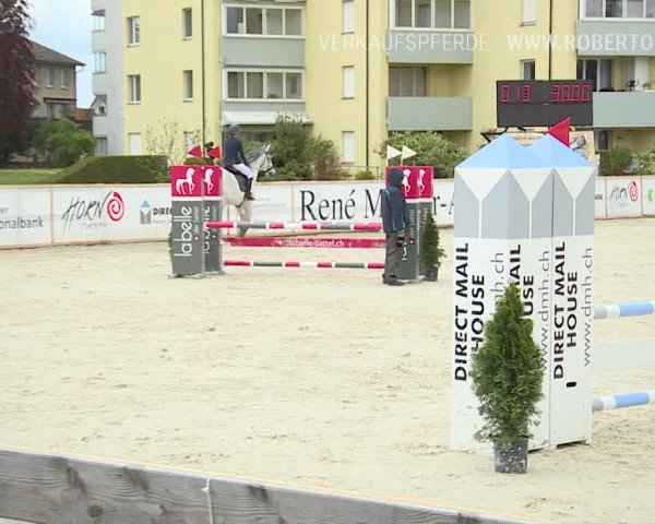 Reitturnier Horn 2019