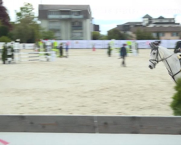 Reitturnier Horn 2019