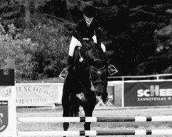 broodmare Deja Vue (Oldenburg, 2005, from Don Papas)