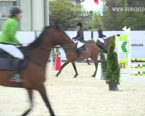 Reitturnier Horn 2019