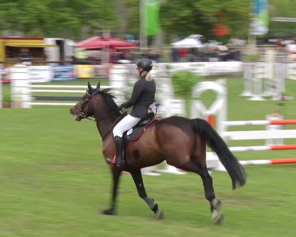 Reitturnier Greppin 2019