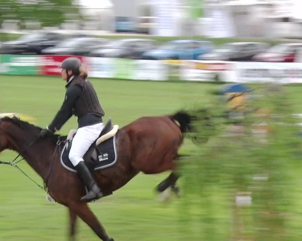 Reitturnier Greppin 2019