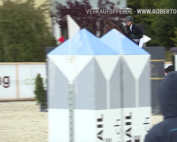Reitturnier Horn 2019