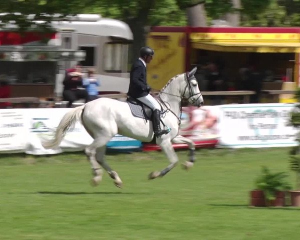 Reitturnier Greppin 2019