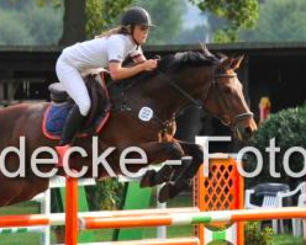 jumper Totalos B.j. (KWPN (Royal Dutch Sporthorse), 2000, from Numero Uno)