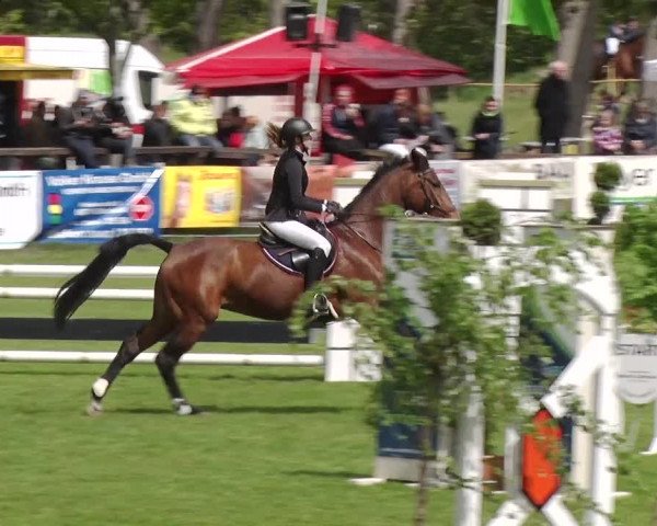 Reitturnier Greppin 2019