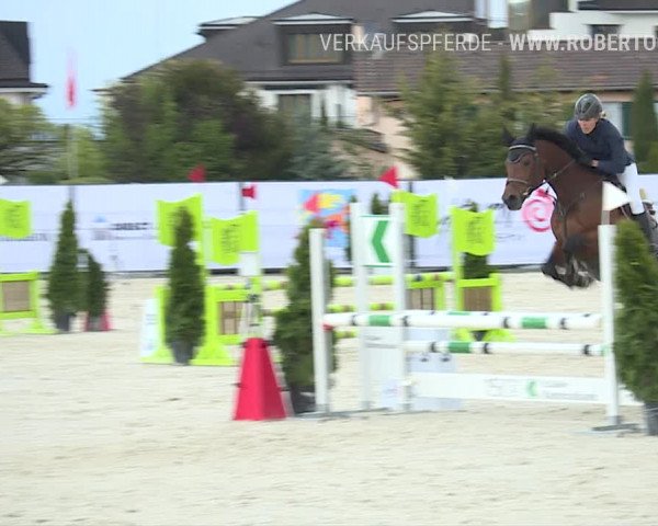 Reitturnier Horn 2019
