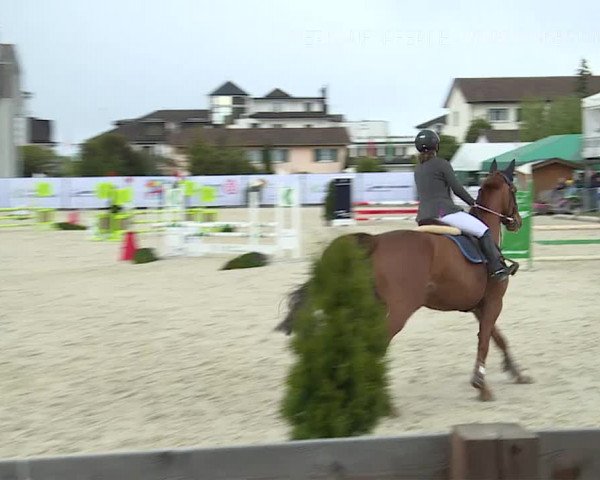 Reitturnier Horn 2019
