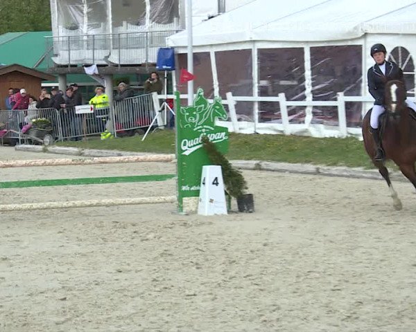 Reitturnier Horn 2019