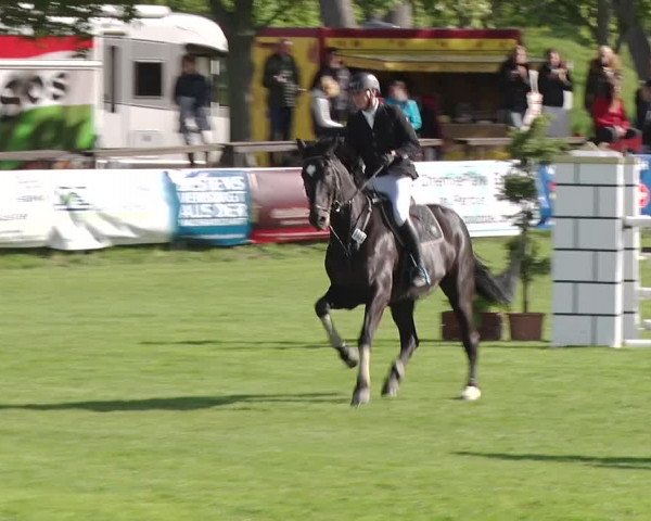 Reitturnier Greppin 2019